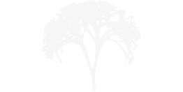 Medina Groups Logo